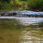 This Hidden Oklahoma Spring Creek Has Some of the Clearest Water in the State