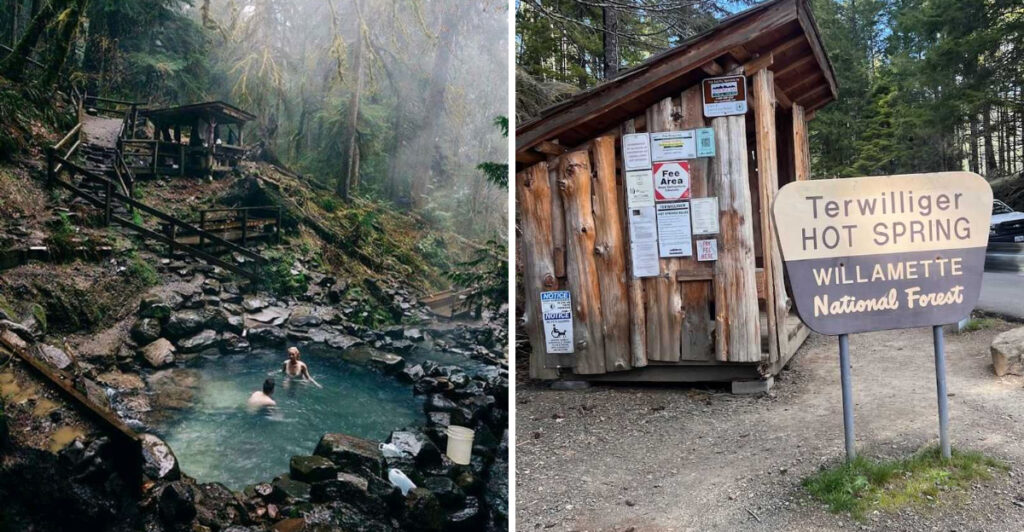 This Hidden Oregon Forest Is Home to One of the State’s Most Beautiful Geothermal Wonders