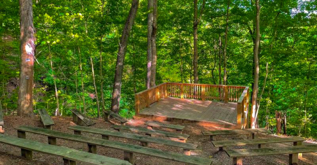This Hidden West Virginia Arboretum Is Home to Ancient Trees, Wildflowers, and Peaceful Trails
