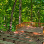 This Hidden West Virginia Arboretum Is Home to Ancient Trees, Wildflowers, and Peaceful Trails