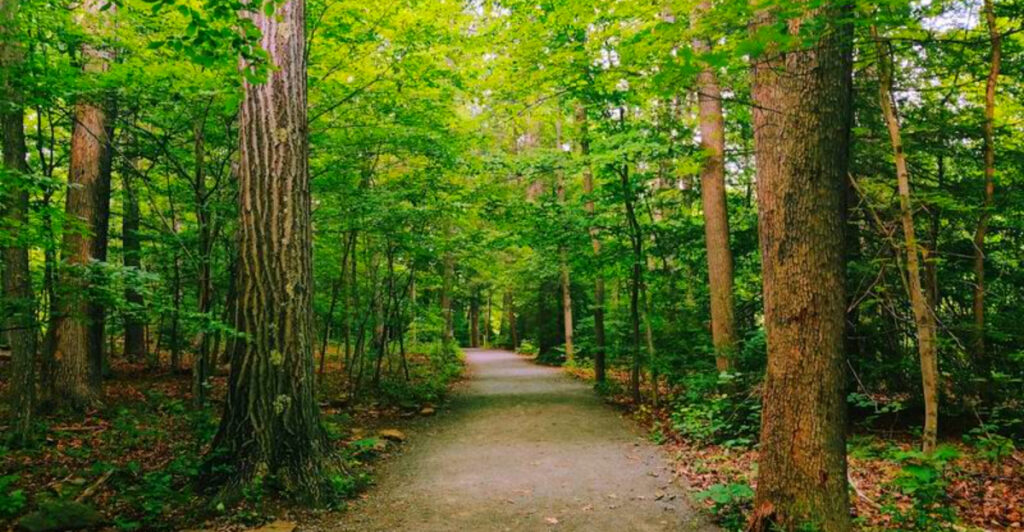 This Hidden West Virginia Botanical Garden Is One of the State’s Most Peaceful Places