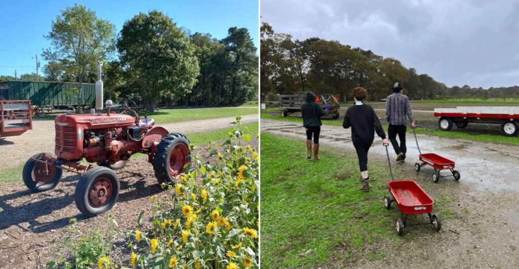 This Historic Massachusetts Farm Still Lets Visitors Pick Their Own Produce