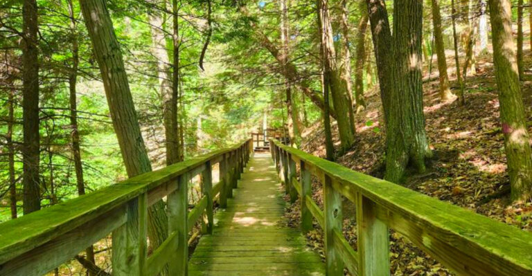 This Iconic Boardwalk in Michigan Leads to One of the State’s Quietest Beaches