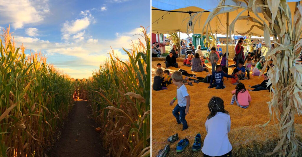 This Idaho Farmstead Has a 14-Acre Corn Maze, Pumpkin Patch, and Endless Family Adventures
