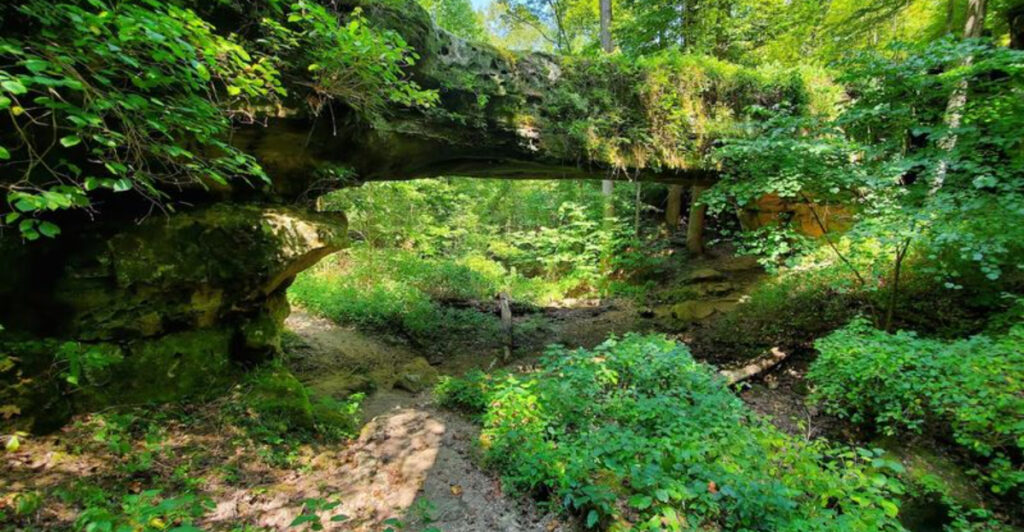 This Illinois Forest Trail Crosses the Top of a Natural Stone Bridge Spanning 90 Feet