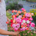 This Lancaster County Flower Farm Has a Charming Roadside Stand Filled With Stunning Seasonal Blooms