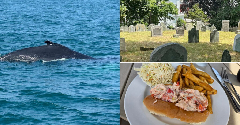 This Massachusetts Coastal Town Has Whales, Lobster, And Centuries Of History