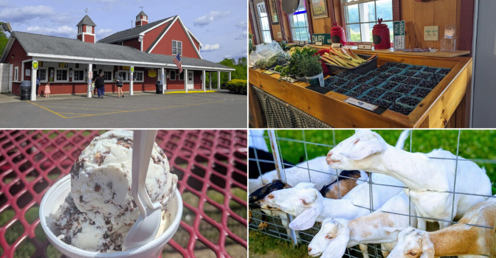 This Massachusetts Farm Stand Has Ice Cream, Fresh Produce, And Goats Nearby