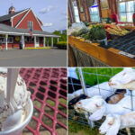 This Massachusetts Farm Stand Has Ice Cream, Fresh Produce, And Goats Nearby