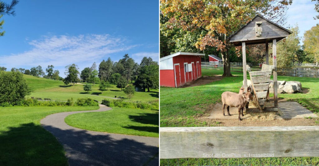 This Massachusetts Park Has A Free Year-Round Farm Families Can Visit