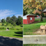 This Massachusetts Park Has A Free Year-Round Farm Families Can Visit