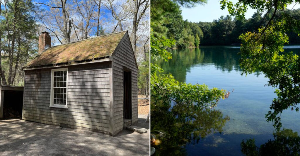 This Massachusetts Pond Inspired One Of America’s Most Famous Nature Books
