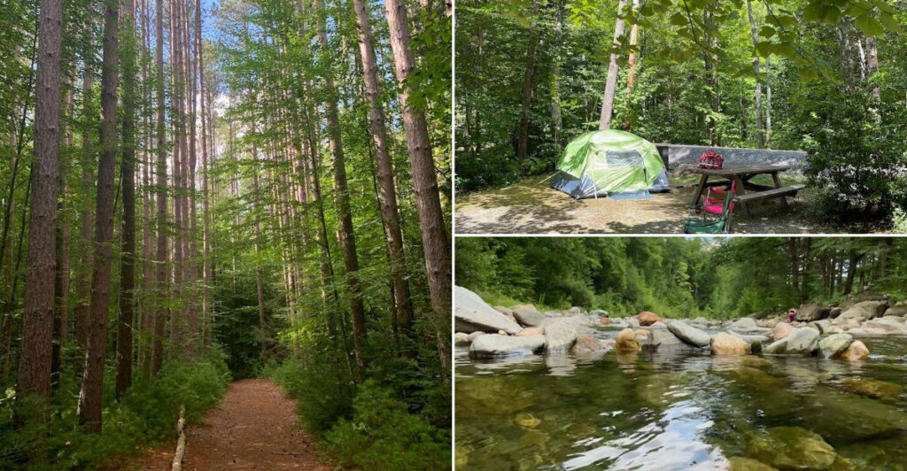 This Massachusetts State Forest Has Cabins, Campsites, Rivers, And Ancient Trees