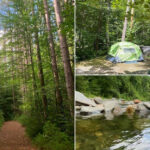 This Massachusetts State Forest Has Cabins, Campsites, Rivers, And Ancient Trees
