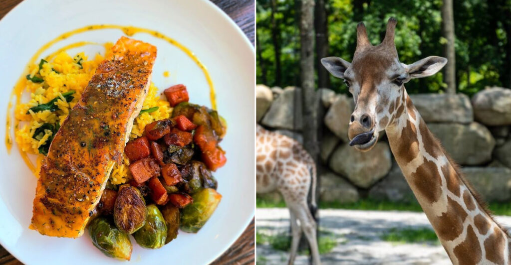 This Massachusetts Tavern Serves New England Comfort Food Beside a Zoo