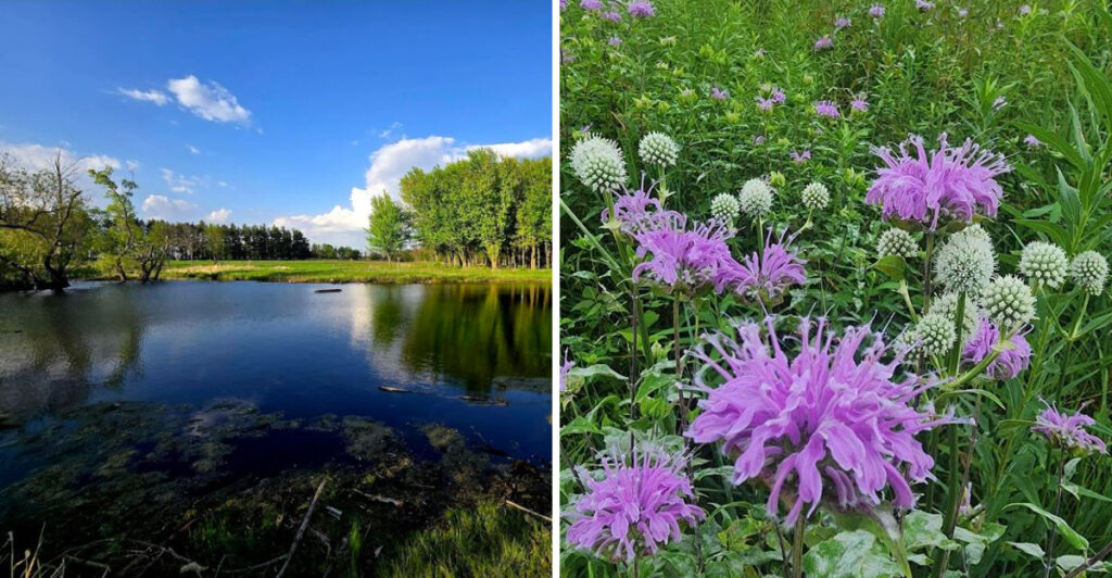 This Minnesota Nature Center Protects More Than 500 Acres of Wild Beauty