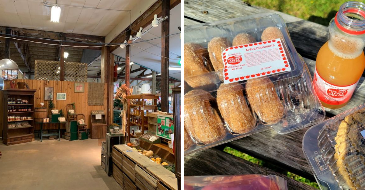 This Minnesota Orchard Is Famous for Apple Cider Donuts Worth the Drive