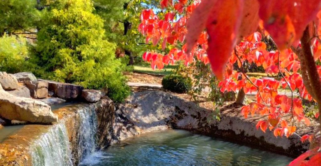 This Missouri Japanese Garden Has Koi Ponds, Cherry Blossoms, and One of the Ozarks’ Most Peaceful Walks