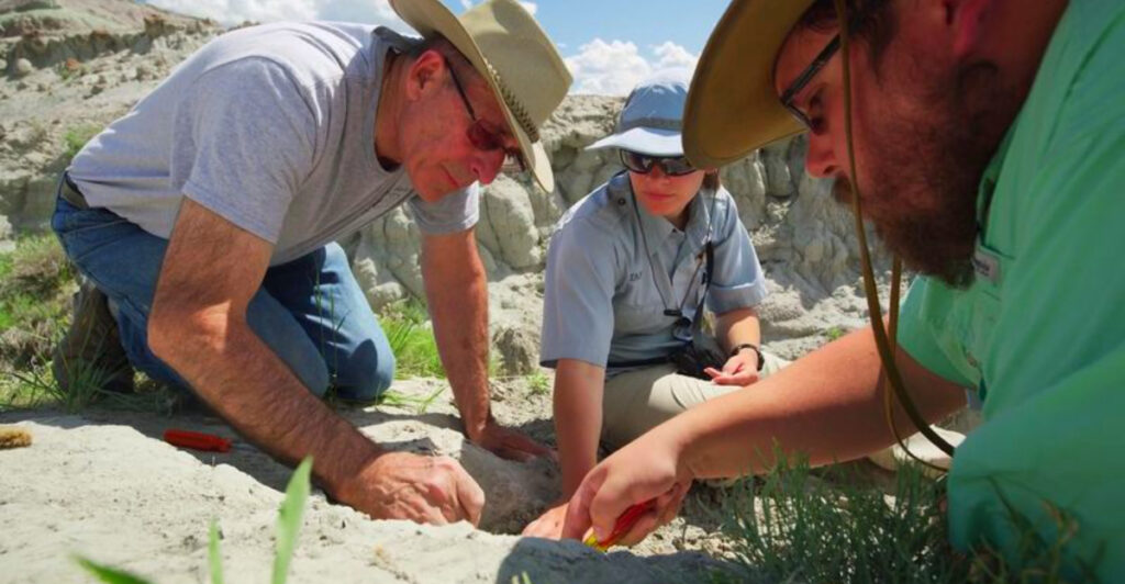 This Montana Museum Lets You Dig for Real Dinosaur Fossils in One of America’s Richest Prehistoric Regions