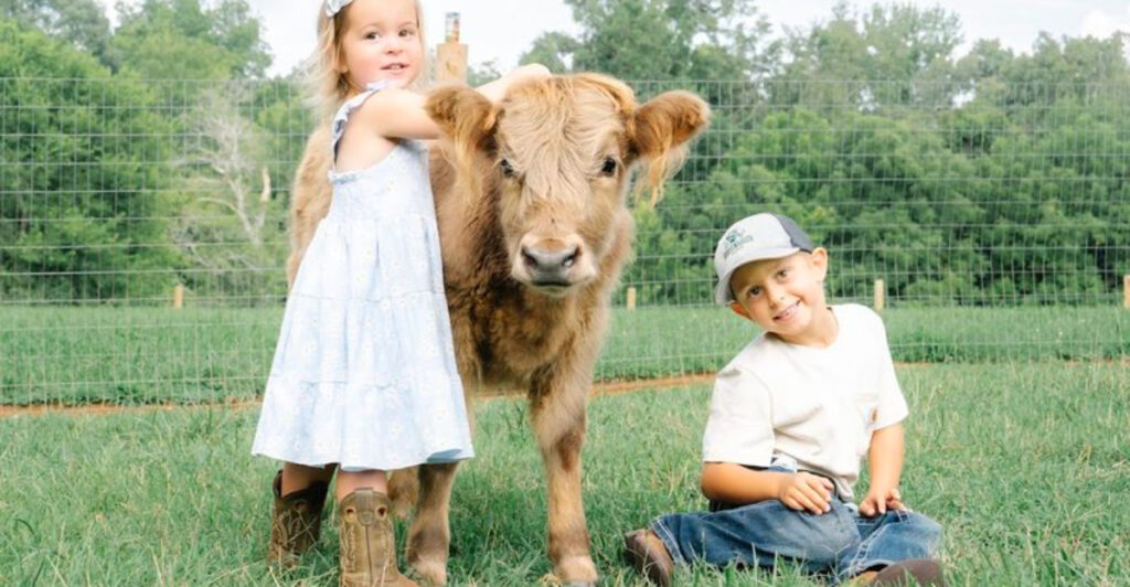 This North Carolina Farm Is Famous for Its Highland Cow Cuddles