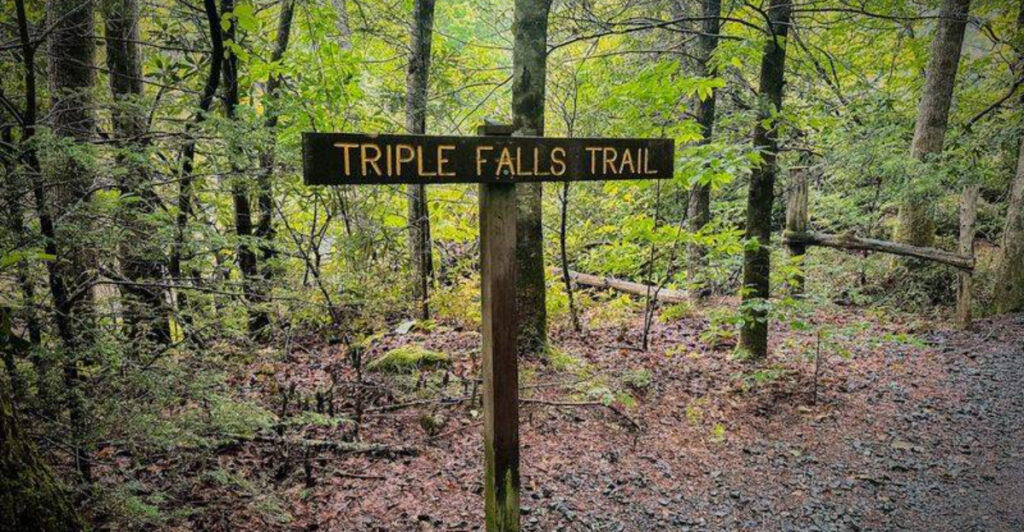 This North Carolina Forest Has Four Waterfalls Within Walking Distance and One of Them Was in The Hunger Games