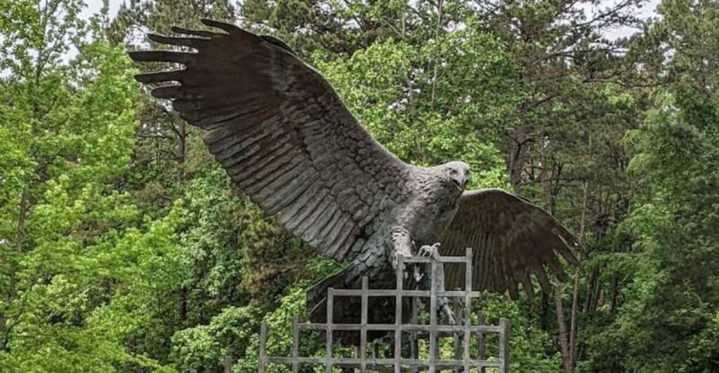 This North Carolina Wildlife Sanctuary Lets You Experience Birds of Prey Up Close