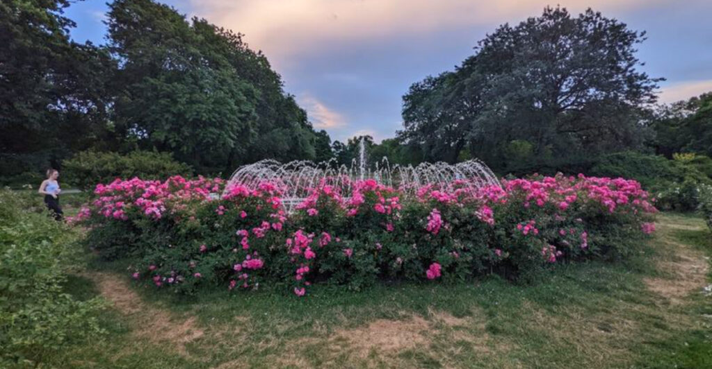 This Ohio Garden Bursts Into Bloom With Thousands Of Roses Every Summer