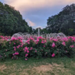 This Ohio Garden Bursts Into Bloom With Thousands Of Roses Every Summer