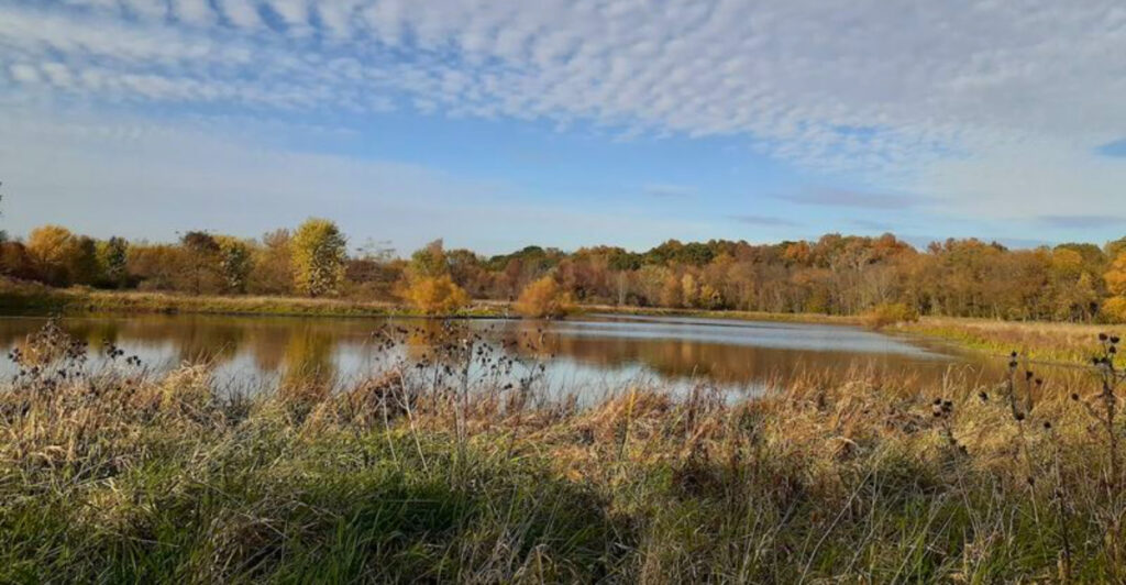 This Ohio Nature Preserve Is Famous for Boardwalks Through a Rare Glacial Kettle Lake