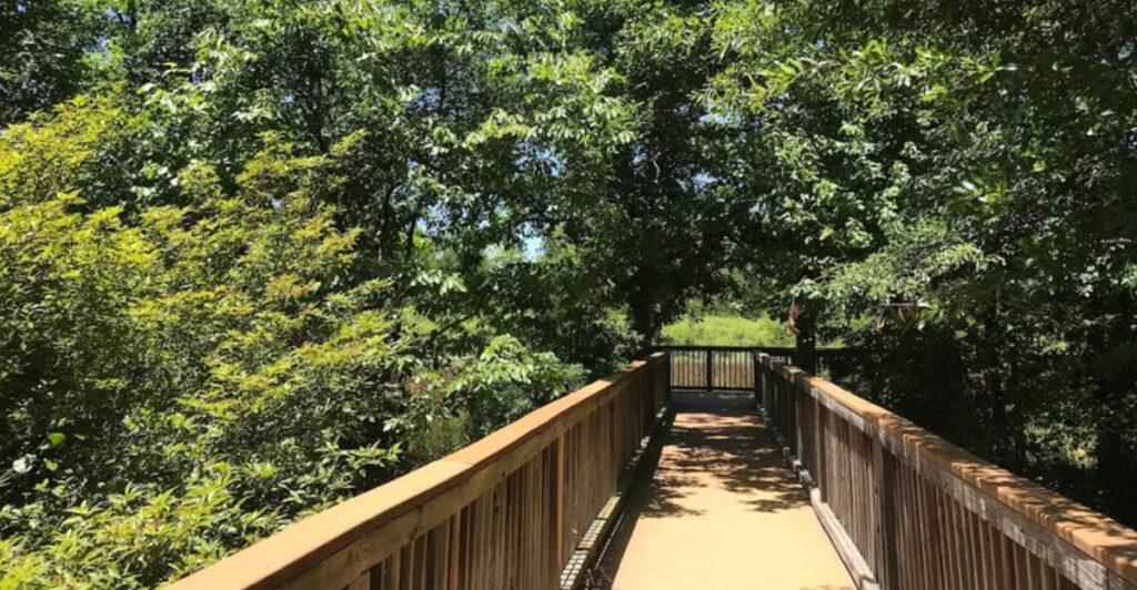 This Oklahoma Nature Preserve Protects a Rare 1,000-Acre Cypress Swamp