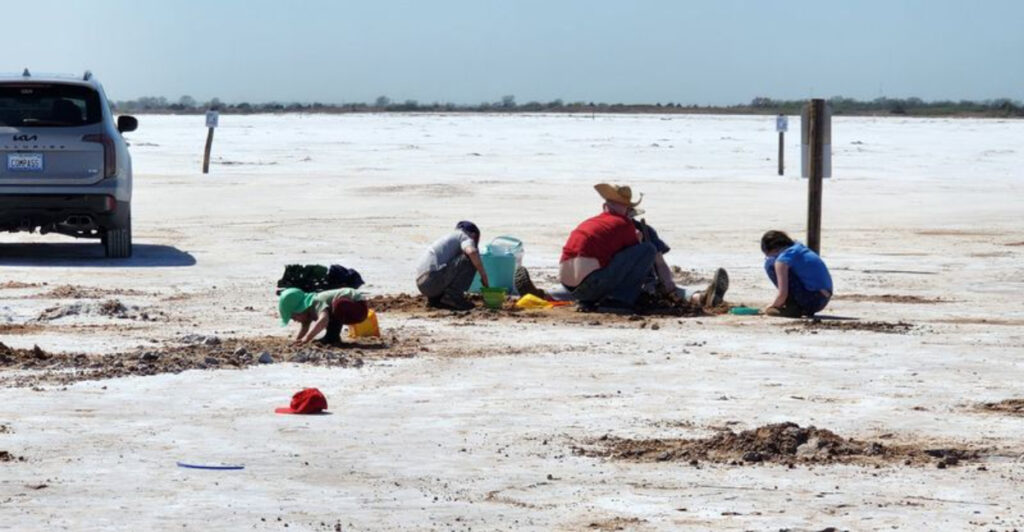 This Oklahoma Salt Flat Lets Visitors Dig for Hourglass-Shaped Crystals Left Behind by a Prehistoric Ocean