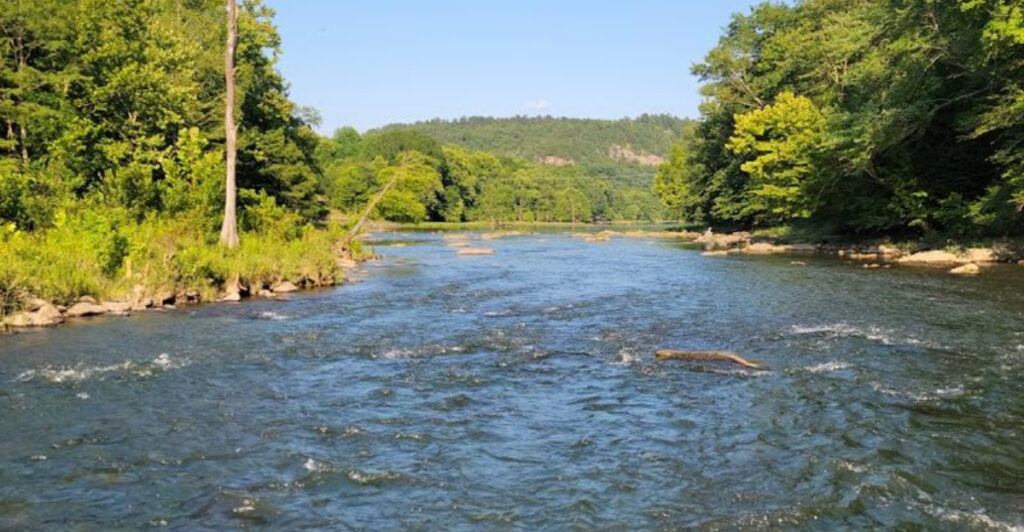 This Oklahoma State Park Near Broken Bow Pairs Towering Pine Forests With Year-Round Trout Fishing and Riverfront Cabins
