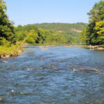 This Oklahoma State Park Near Broken Bow Pairs Towering Pine Forests With Year-Round Trout Fishing and Riverfront Cabins