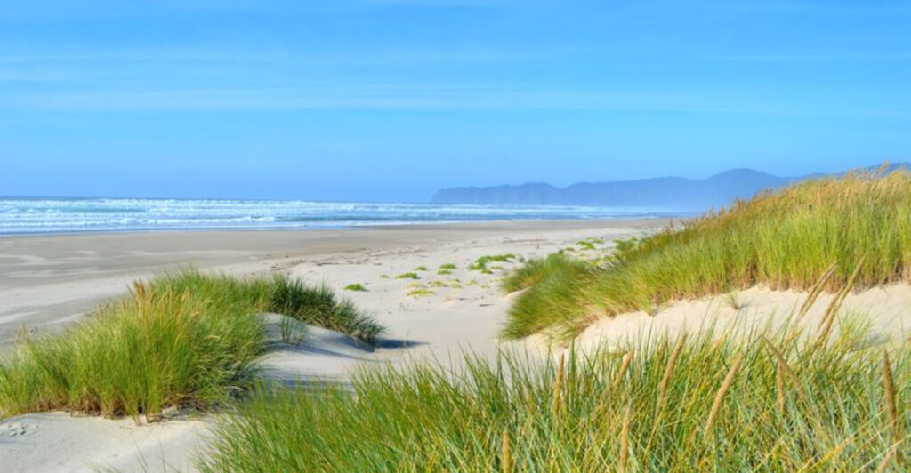 This Oregon Coastal Trail Crosses an Estuary and Forested Dunes to the Beach
