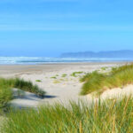 This Oregon Coastal Trail Crosses an Estuary and Forested Dunes to the Beach