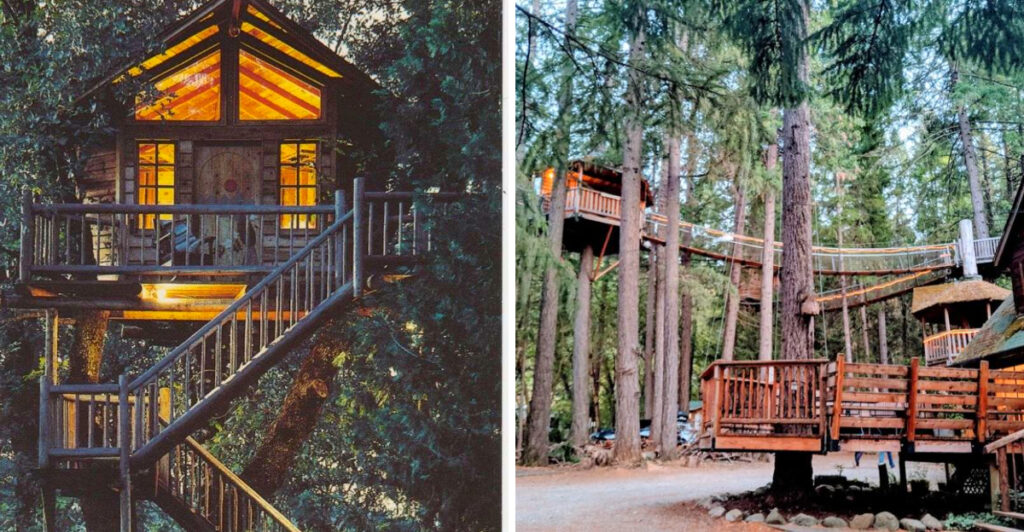 This Oregon Escape Is Home to One of the World’s Largest Collections of Treehouses