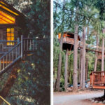 This Oregon Escape Is Home to One of the World’s Largest Collections of Treehouses