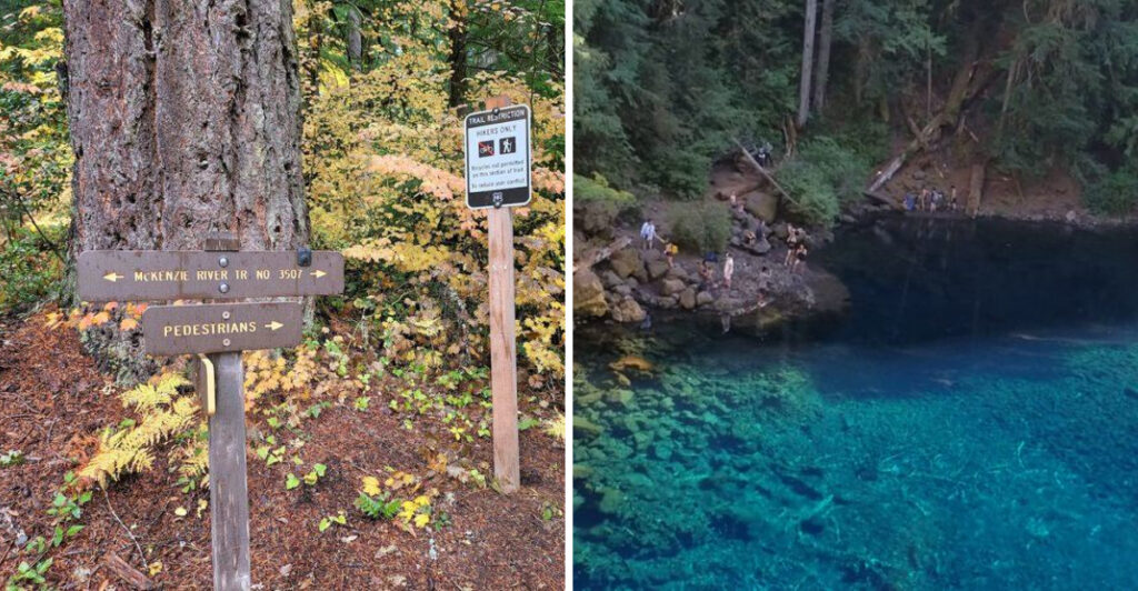 This Oregon Forest Pool Marks Where a River Reappears After Three Miles Underground
