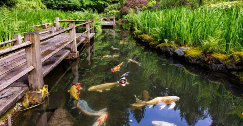 This Oregon Garden Is a Peaceful Japanese Masterpiece Hidden in Portland