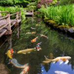 This Oregon Garden Is a Peaceful Japanese Masterpiece Hidden in Portland