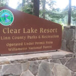 This Oregon Lake Covers a 3,000-Year-Old Forest Still Standing Beneath 120 Feet of Near-Freezing Water