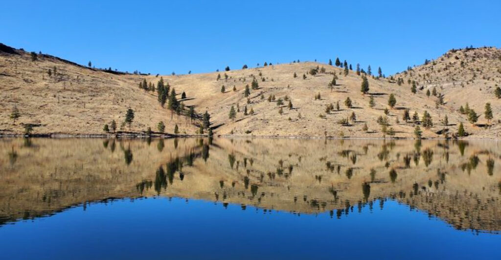 This Oregon State Park Fills Two River Canyons With Boating, Beaches, and Cliff Views