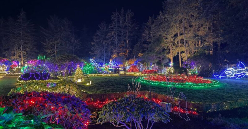 This Oregon State Park Has One of the Most Spectacular Holiday Light Displays