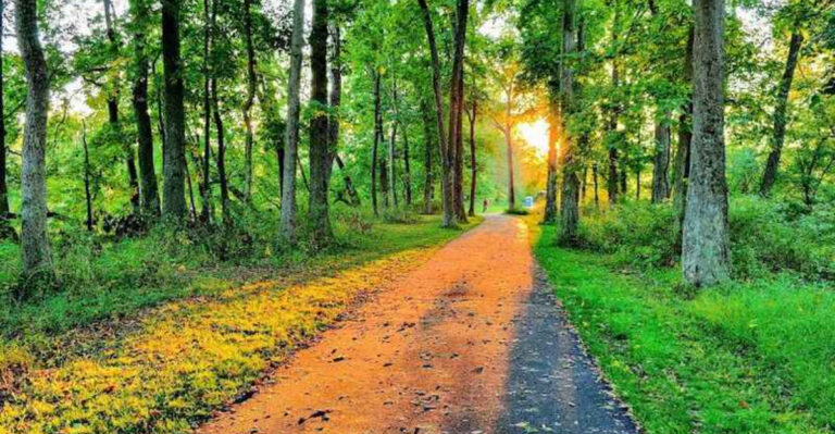This Peaceful Canal-Side Park Might Be New Jersey’s Most Underrated Day Trip