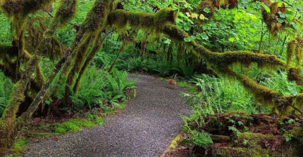 This Peaceful Washington Town Has Wildlife Trails, River Views, And Mountain Hikes