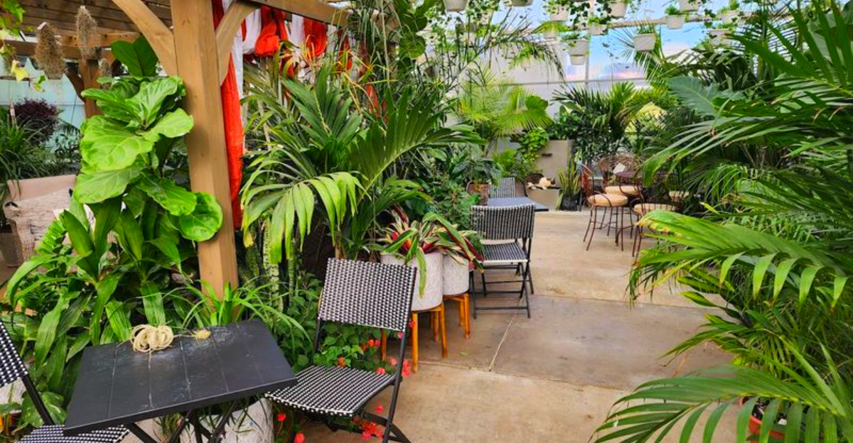 This Pennsylvania Flower Farm Lets You Sip Coffee While Surrounded by Thousands of Blooming Plants