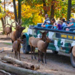 This Pennsylvania Wildlife Park Has a Drive-Through Safari, Giraffe Feedings, and Hundreds of Animals