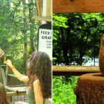 This Pocono Wildlife Park Combines Exotic Animals, Petting Areas, and Family Adventures