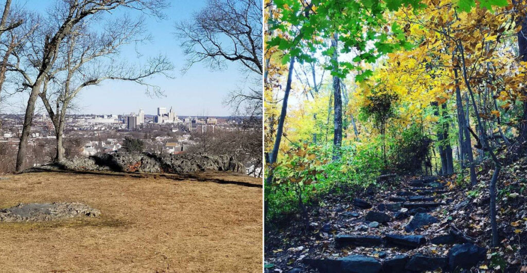This Rhode Island Woodland Hides WPA Trails, Stone Walls, And Skyline Views