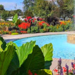 This Rose Garden in Abilene Honors Eisenhower With Hundreds of Blooms and Small-Town Charm